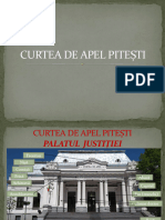 Curtea de Apel Pitesti - Elemente de Arhitectura