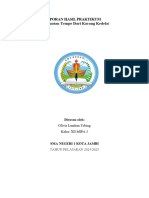 Laporan Hasil Praktikum (1) - 4