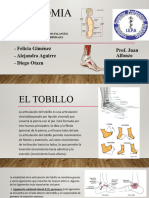 Anatomia 4