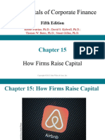 Pert 4 Raising Capital