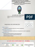 Diapositivas Accion de Cumplimiento Bolivia