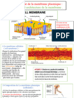 Physiologie de La Membrane Plasmique Et Les Transports Membranaires