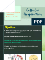 Cellular Respiration PDF