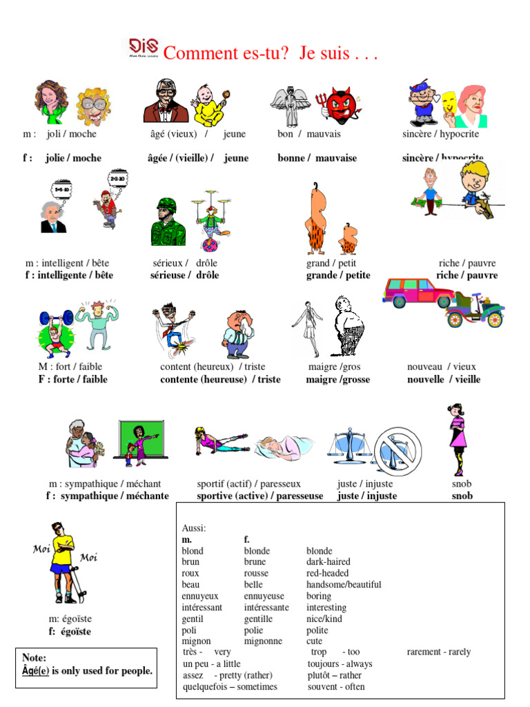 Adjectifs en français : masculin et féminin | PDF