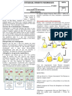 Avaliação 1º Ano - Prova 1 EE