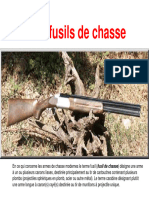 Armes Munitions Chasse