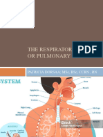 The Respiratory System or Pulmonary System