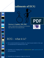 Rudiments of ECG