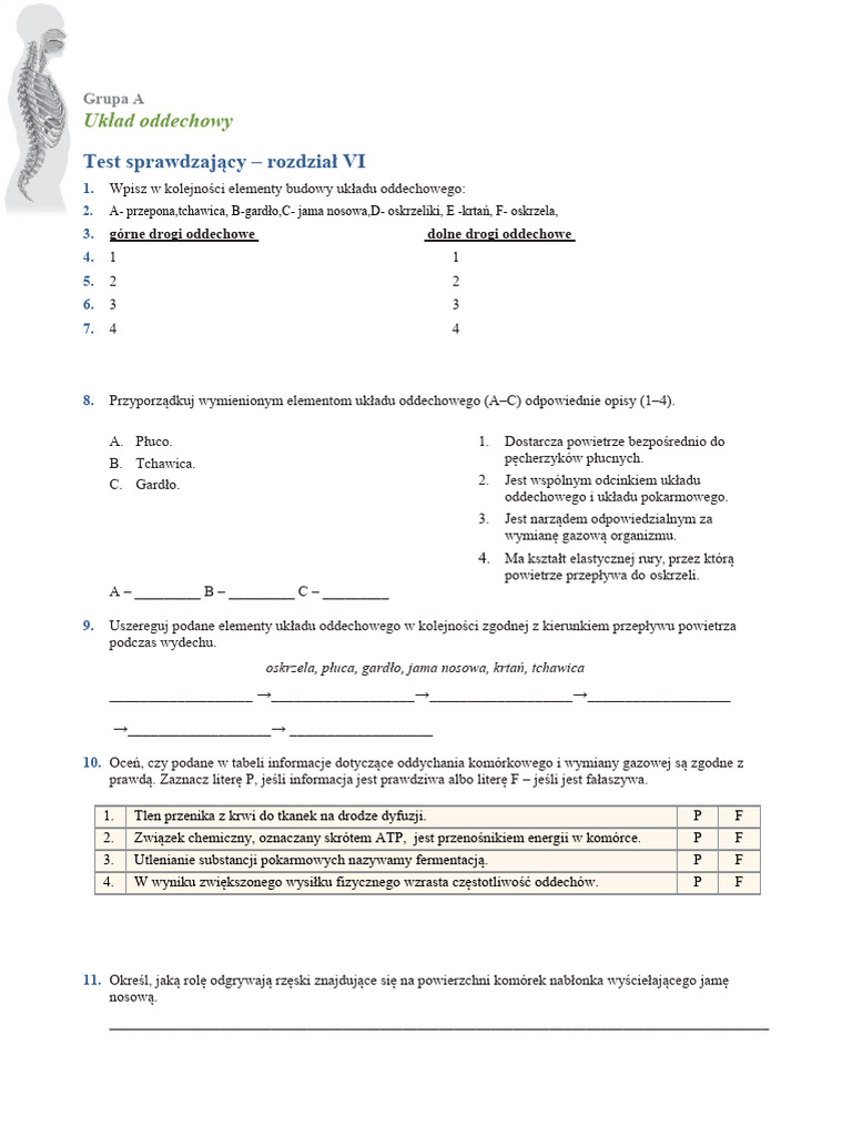 Test-7kl - uklad-tEST KL 7.oddechowy - Sprawdz Sie | PDF