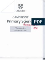 Primary Science Workbook 4