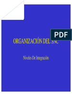 Organización Del SNC