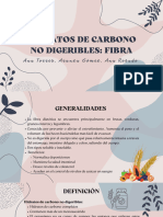 Hidratos de Carbono No Digeribles