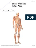Anatomia Humana - Texto e Atlas
