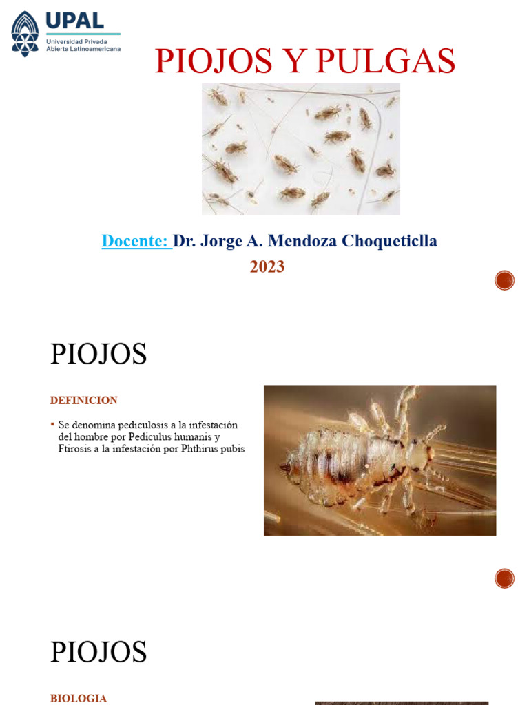 piojos-y-pulgas-pdf