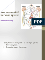 Lec-13The Autonomic Nervous System