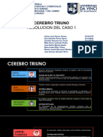 Cerebro Triuno