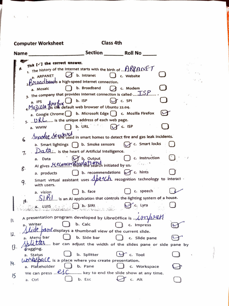 Answer Key - Computer Worksheet - IV | PDF
