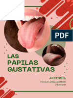 Papilas Gustativas