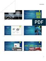 Slides Aspergillus