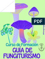 Brochure Curso Guía Fungi Turismo 2024 I°