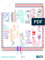 Cell Structure Function Illustration Atf