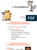 Physiologie Fonction Thyroidienne 151121