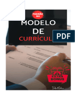 Modelo de Currículo Profissional