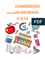 Diagnostico NATURALES 4TO