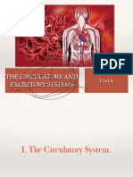 201501bg3 4 The Circulatory and Excretory Systems - PDF 3