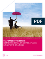 DDoS White Paper - Stay Safe in Cyber Space