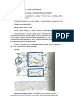 Fármacos Que Afetam A Função Gastrointestinal