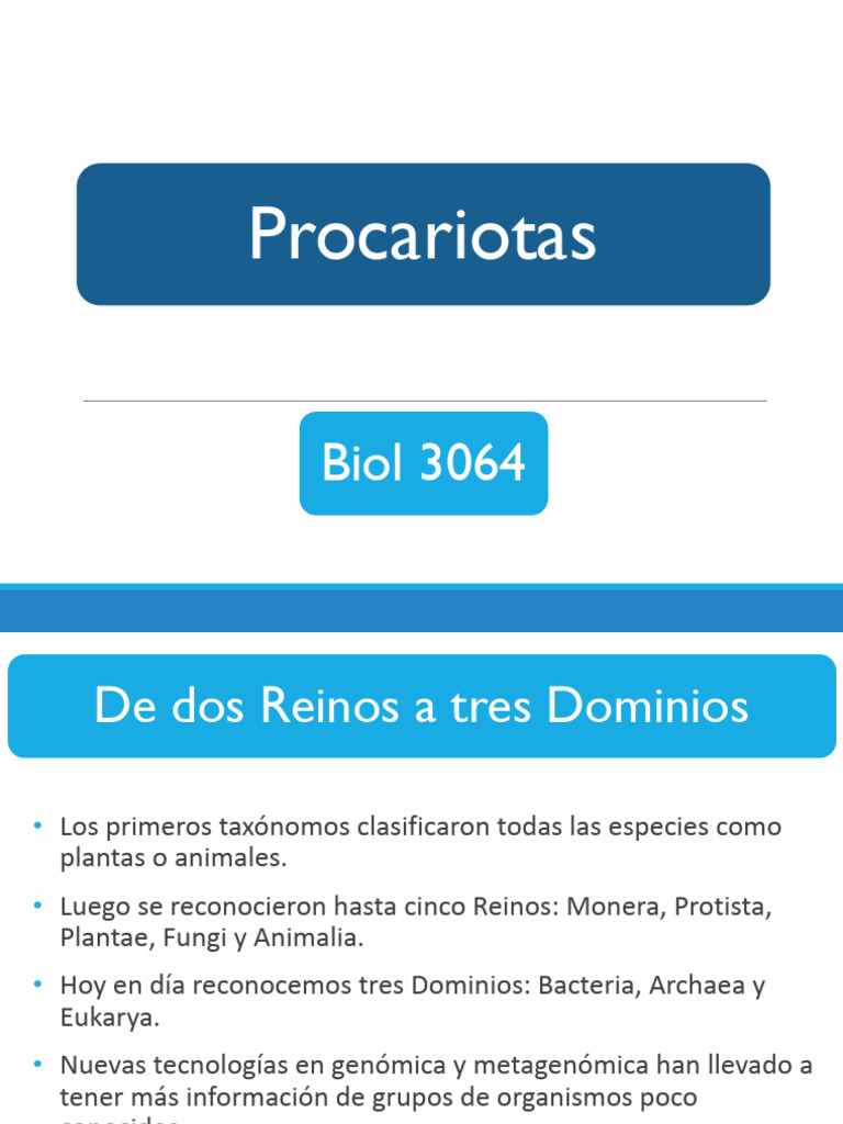 Clasificación y características de procariotas | PDF | Las bacterias ...