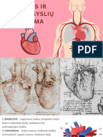 Širdies Ir Kraujagyslių Sistema