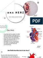 Das Herz Portofolio