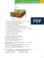 Exercicios Consolidação 2.2