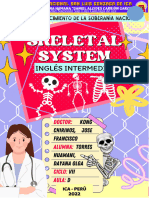 Skeletal System