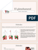 El Glenohumeral