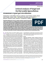 Fungal Bacteria Consortia