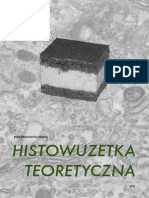 Histowuzetka Teoretyczna