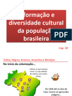 A Formação e Diversidade Cultural Da População Brasileira