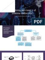 Modulo 6 - El Sistema Nervioso y El Sistema Endocrino