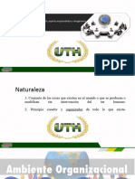 Capitulo 7 Naturaleza de La Organizacion Espiritu Emprendedor y Reingenieria.