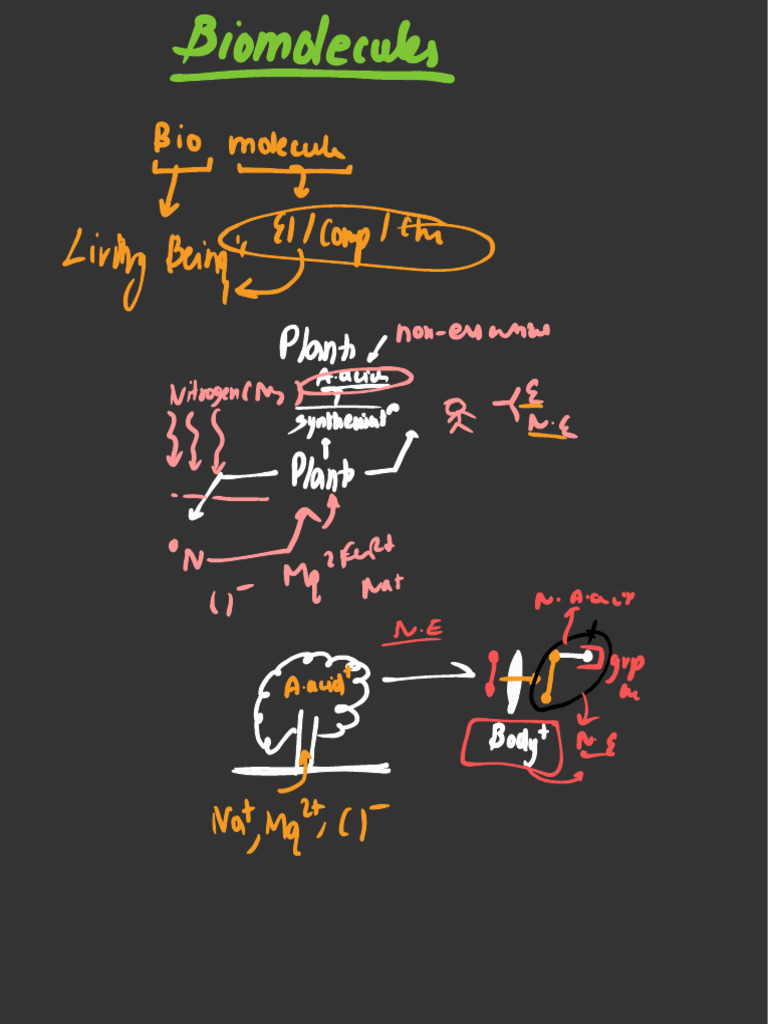 Basic Biomolecules Pdf Chemistry Cellular Processes