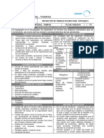 Instructivo de Trabajo Seguro para Topografo