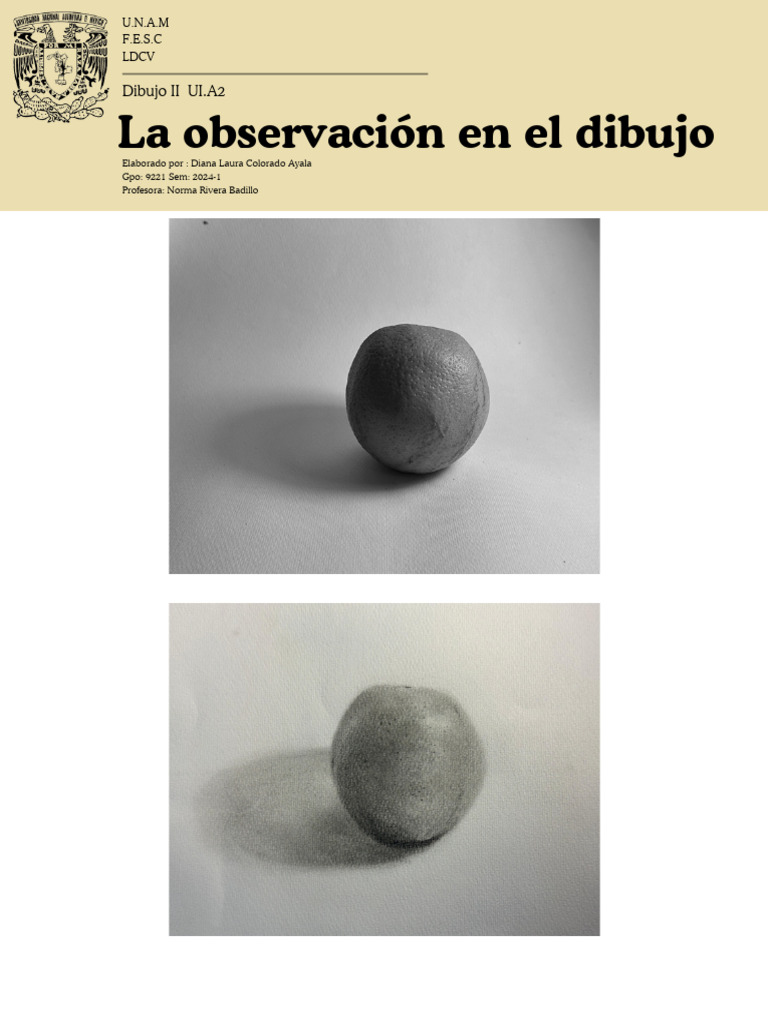La Observación en El Dibujo | PDF