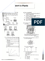 Transport in Plants PDF