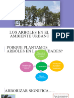 Los Arboles en El Ambiente Urbano 1 Sesion 5