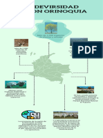 Infografía Cuidado Del Medio Ambiente Moderno Verde