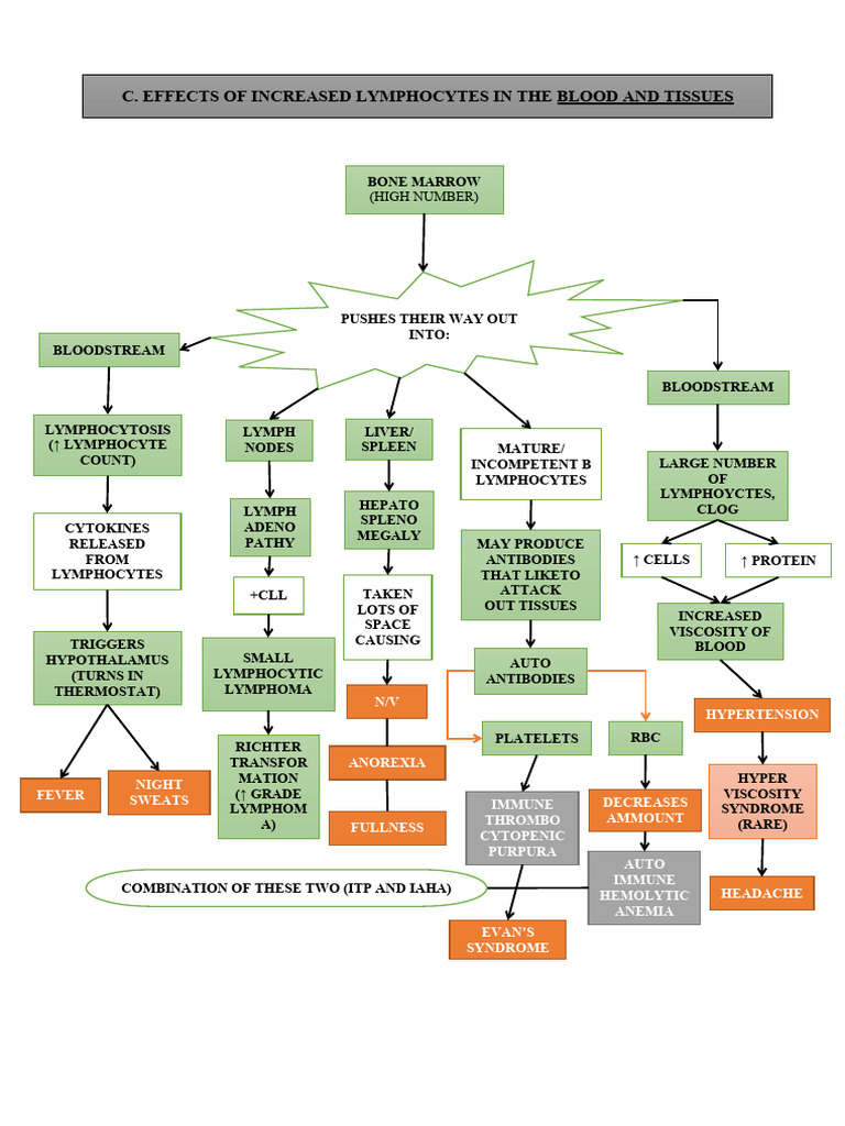 Patho C | PDF | Lymphocyte | Medicine