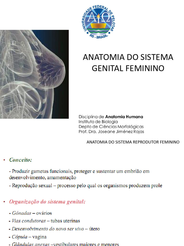 ANATOMIA DO sISTEMA rEPRODUTOR FEMININO | PDF | Sistema reprodutivo ...